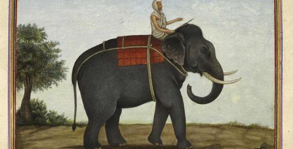 An image of the elephant keeper in India riding his elephant from Tashrih al-aqvam (1825).
